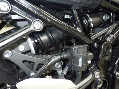 Kawasaki Z900RS 2021
