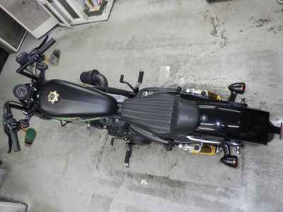 Harley-Davidson Sportster Forty-Eight XL1200X 2019
