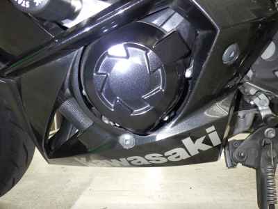 Kawasaki Ninja 1000 2016