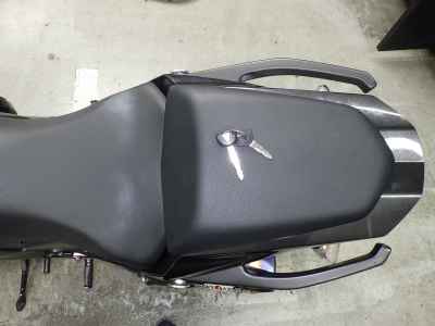 Kawasaki Ninja 1000 2016