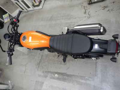 Honda CL250 2023