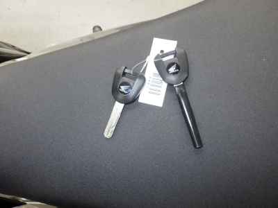 Honda Hawk 11 2022