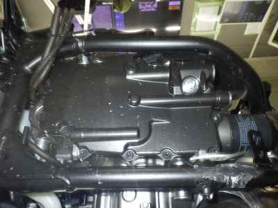 Honda Hawk 11 2022