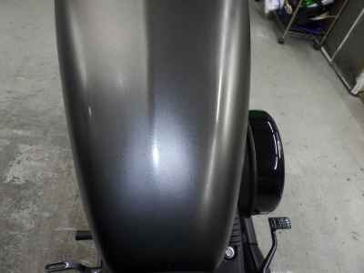 Harley-Davidson Sportster Iron XL883N 2021