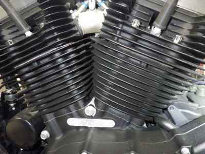Harley-Davidson Sportster Iron XL883N 2021