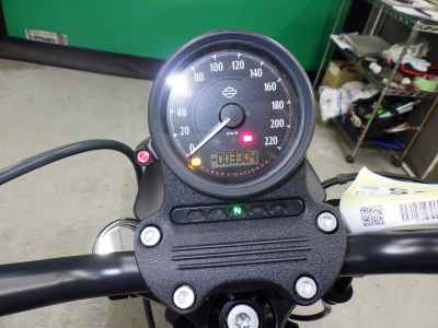 Harley-Davidson Sportster Iron XL883N 2021