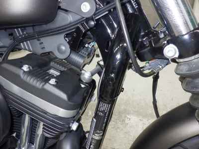Harley-Davidson Sportster Iron XL883N 2021