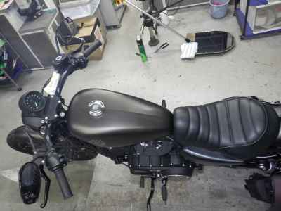 Harley-Davidson Sportster Iron XL883N 2021