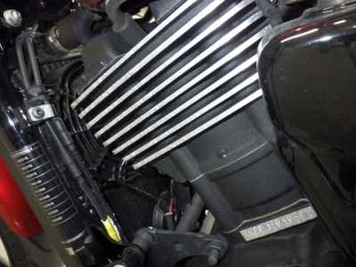 Harley-Davidson Street Rod XG750 2019