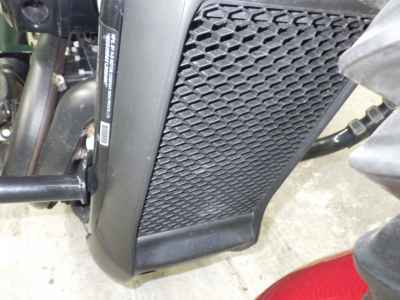 Harley-Davidson Street Rod XG750 2019
