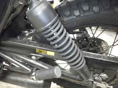 Mutt 250 2021