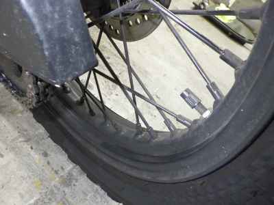 Mutt 250 2021