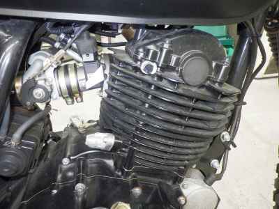 Mutt 250 2021