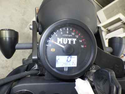 Mutt 250 2021