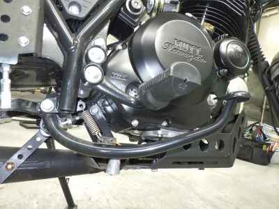 Mutt 250 2021