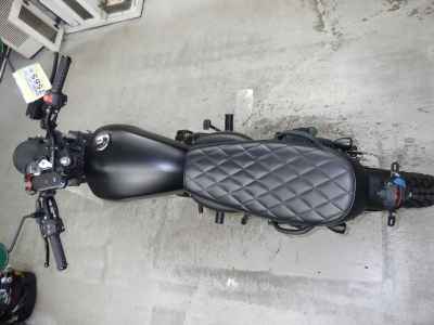 Mutt 250 2021