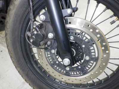 Mutt 250 2021