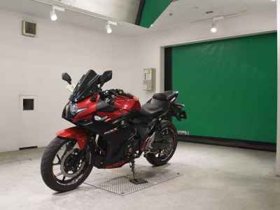 Suzuki GSX250R