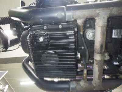 Moto Guzzi V7 2019