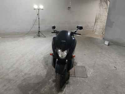 Honda Faze 2011