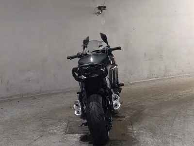 Kawasaki Ninja 1000 2019