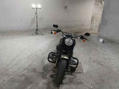 Harley-Davidson Slim S FLSS1800 2016