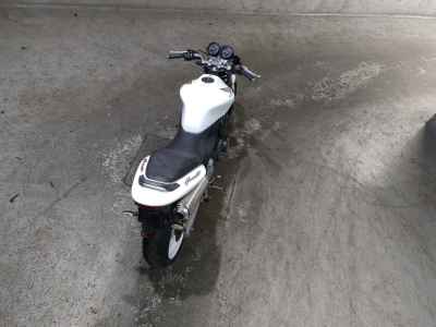 Honda Hornet 250 2007