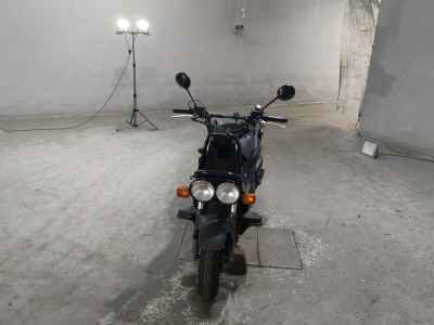 Honda PS250 Big Ruckus 2006