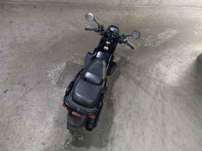 Honda PS250 Big Ruckus 2006
