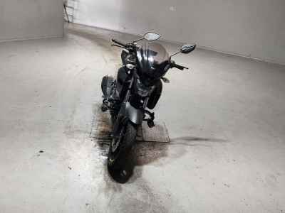 Yamaha FZ250 Fazer 2018