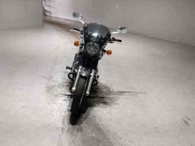 Kawasaki W800 2019