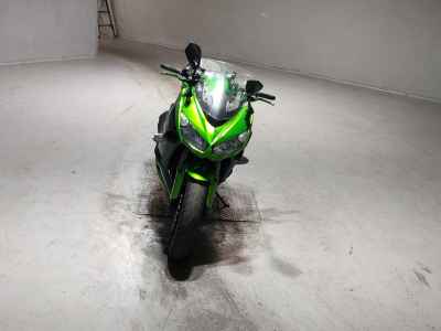 Kawasaki Ninja 1000 2011
