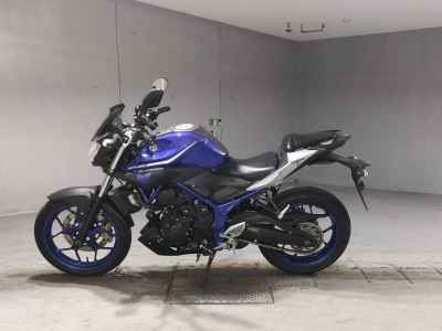 Yamaha MT-25 2017