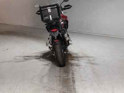 Triumph Tiger 900 GT Pro 2021