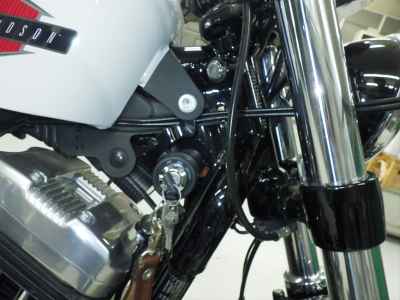 Harley-Davidson Sportster Forty-Eight XL1200X 2020
