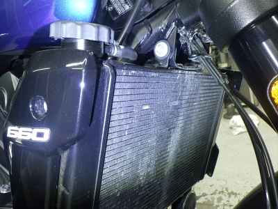 Triumph Trident 660 2024