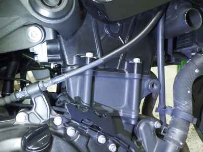 Kawasaki Z400 2019