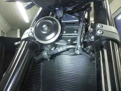 Kawasaki Z900RS 2026