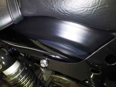 Harley-Davidson Sportster Iron XL883N 2021