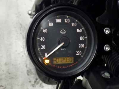 Harley-Davidson Sportster Iron XL883N 2021