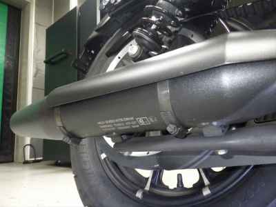 Harley-Davidson Sportster Iron XL883N 2021
