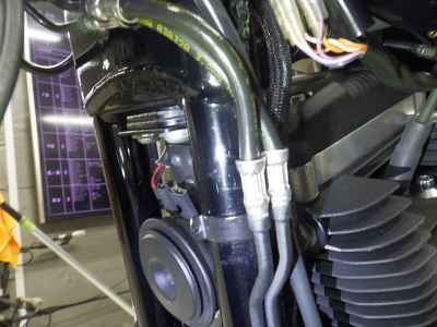 Harley-Davidson Sportster Iron XL883N 2021