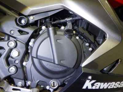 Kawasaki Ninja 250 2022