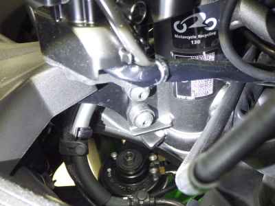Kawasaki Ninja ZX-4RR 2024