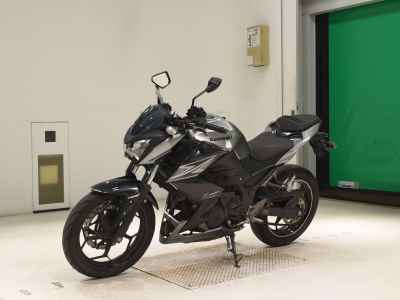 Kawasaki Z250 2015
