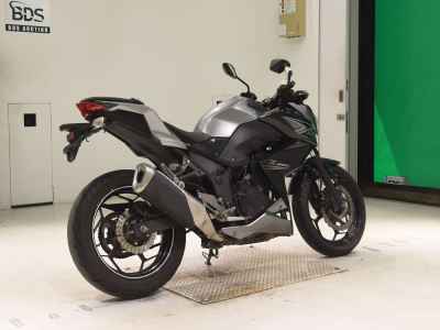 Kawasaki Z250 2015