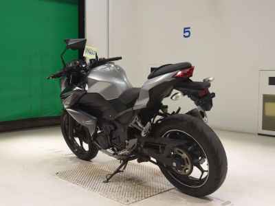 Kawasaki Z250 2015