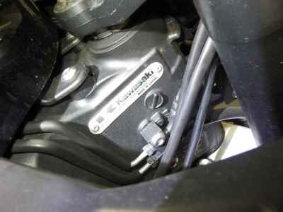 Kawasaki Ninja 1000SX 2021