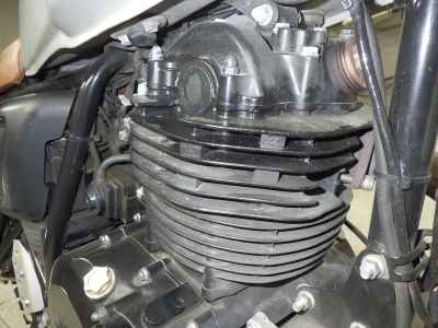 Mutt Mongrel 250 2020