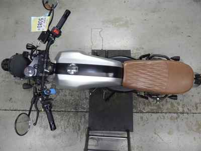 Mutt Mongrel 250 2020